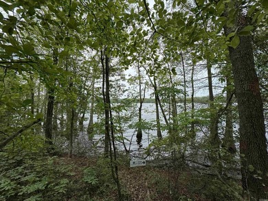 This stunning property includes lots of shorefront on Lake - photo 34