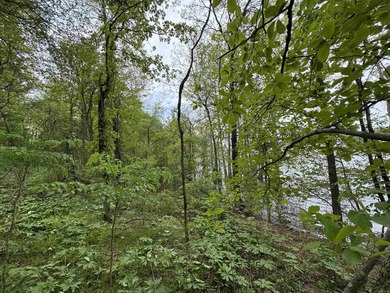 This stunning property includes lots of shorefront on Lake - photo 35