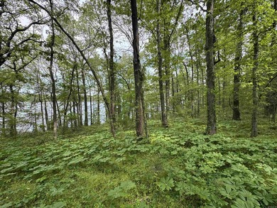This stunning property includes lots of shorefront on Lake - photo 36