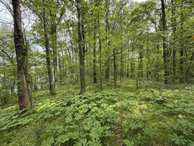 This stunning property includes lots of shorefront on Lake - photo 37