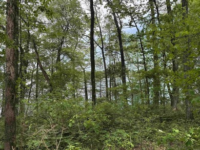 This stunning property includes lots of shorefront on Lake - photo 38