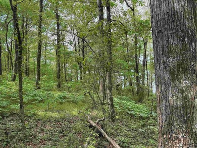 This stunning property includes lots of shorefront on Lake - photo 39