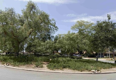 Kensington Heights - Spectacular Views, Historic Charm & Mills - photo 39