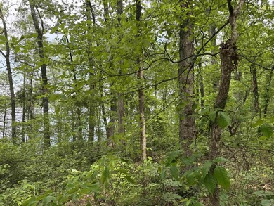 This stunning property includes lots of shorefront on Lake - photo 40