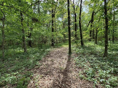 This stunning property includes lots of shorefront on Lake - photo 41
