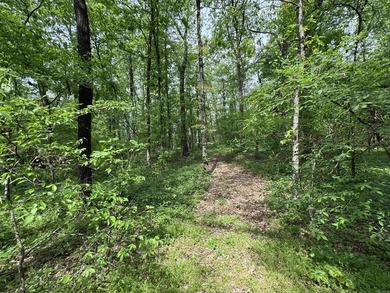 This stunning property includes lots of shorefront on Lake - photo 42