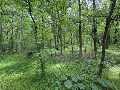 This stunning property includes lots of shorefront on Lake - photo 43