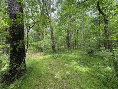 This stunning property includes lots of shorefront on Lake - photo 44