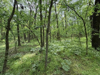 This stunning property includes lots of shorefront on Lake - photo 45