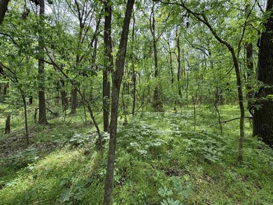 This stunning property includes lots of shorefront on Lake - photo 46