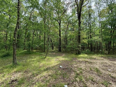 This stunning property includes lots of shorefront on Lake - photo 47