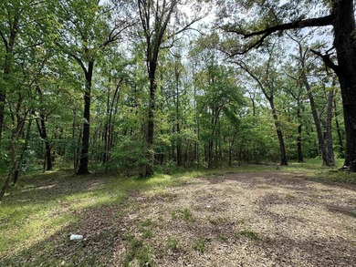 This stunning property includes lots of shorefront on Lake - photo 48