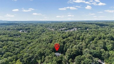 If privacy, space, and an open floor plan are at the top of your - photo 49