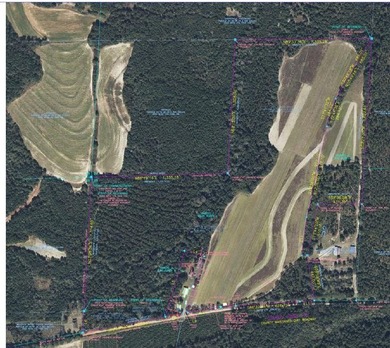 (private lake, pond, coastal) Acreage Sale Pending in Shorterville Alabama