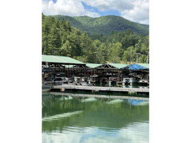 Lake Commercial For Sale in Butler, Tennessee