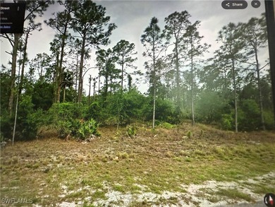 Lehigh Acres Area Lot For Sale in Lehigh Acres Florida