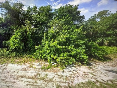 Lehigh Acres Area Lot For Sale in Lehigh Acres Florida