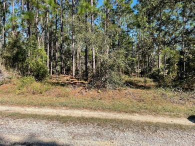 Lake Acreage For Sale in Dunnellon, Florida