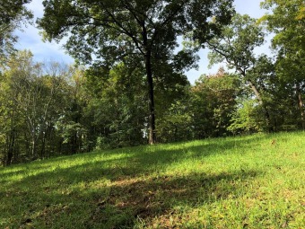 Cherokee Lake Acreage For Sale in Mooresburg Tennessee