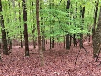 Coosawattee River - Gilmer County Lot For Sale in Ellijay Georgia