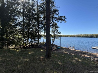 This is a turn-key sale with all the furniture and dock included - photo 44