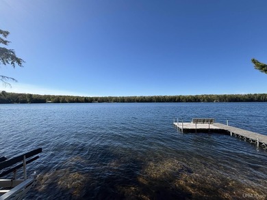This is a turn-key sale with all the furniture and dock included - photo 48