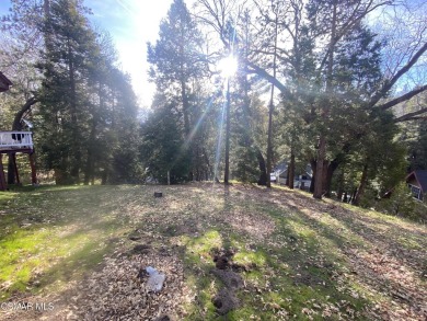 Lake Lot For Sale in Lake Arrowhead, California