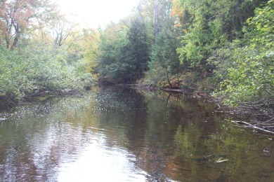 Lake Acreage Sale Pending in Rib Lake, Wisconsin