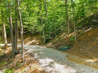 REDUCED PRICE!! Introducing Dryden Ridge-a brand-new, premier - photo 1