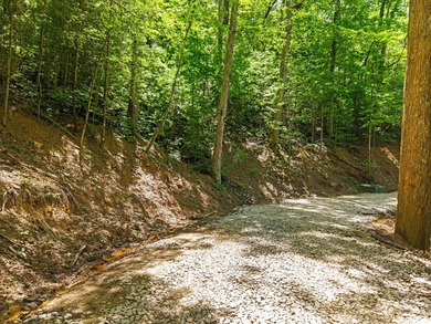 REDUCED PRICE!! Introducing Dryden Ridge-a brand-new, premier - photo 2