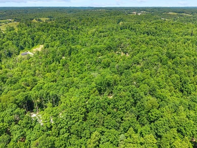 REDUCED PRICE!! Introducing Dryden Ridge-a brand-new, premier - photo 4