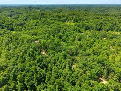 REDUCED PRICE!! Introducing Dryden Ridge-a brand-new, premier - photo 5