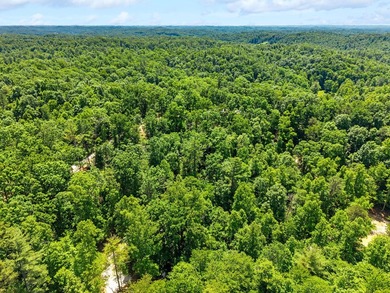 REDUCED PRICE!! Introducing Dryden Ridge-a brand-new, premier - photo 6