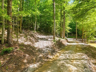 REDUCED PRICE!! Introducing Dryden Ridge: Lot 5-The Jewel of the - photo 1