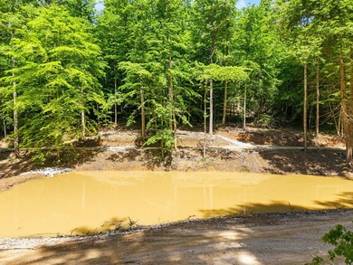 REDUCED PRICE!! Introducing Dryden Ridge: Lot 5-The Jewel of the - photo 2