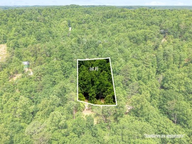REDUCED PRICE!! Introducing Dryden Ridge: Lot 5-The Jewel of the - photo 4
