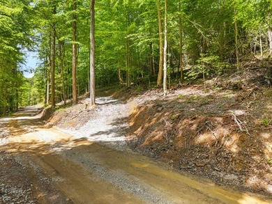 REDUCED PRICE!! Introducing Dryden Ridge: Lot 5-The Jewel of the - photo 5