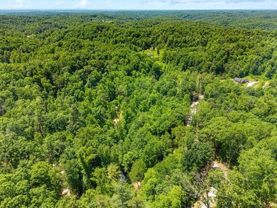 REDUCED PRICE!! Introducing Dryden Ridge: Lot 5-The Jewel of the - photo 6