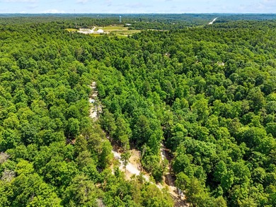 REDUCED PRICE!! Introducing Dryden Ridge: Lot 5-The Jewel of the - photo 7