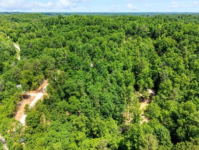 REDUCED PRICE!! Introducing Dryden Ridge: Lot 5-The Jewel of the - photo 8