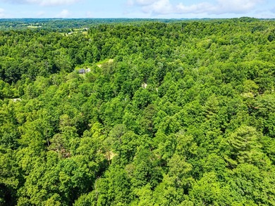 REDUCED PRICE!! Introducing Dryden Ridge: Lot 5-The Jewel of the - photo 9