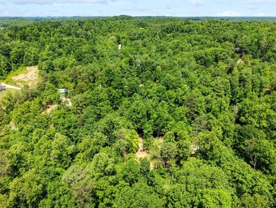 REDUCED PRICE!! Introducing Dryden Ridge: Lot 5-The Jewel of the - photo 10
