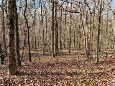 Weiss Lake Acreage For Sale in Cedar Bluff Alabama