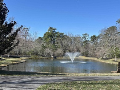 Manchester Village Beauty... Beautiful 3 BR/2BTH Evergreen model - photo 4