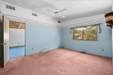 Plenty of potential with this spacious 3 bed 2 bath home on 10 - photo 25