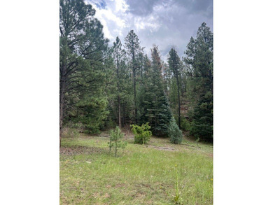 Lake Acreage For Sale in Pecos, New Mexico