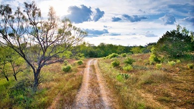 Golden Eagle Ranch - You have to see this one to believe it. The - photo 6