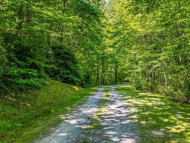 Lot PS 3 spans 4.15 acres, offering plenty of privacy atop - photo 3