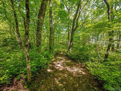 Lot PS 3 spans 4.15 acres, offering plenty of privacy atop - photo 4