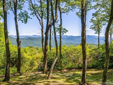 Lot PS 3 spans 4.15 acres, offering plenty of privacy atop - photo 5